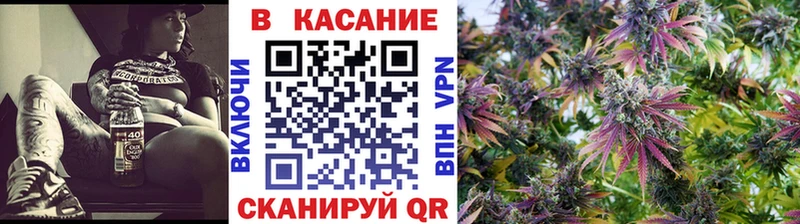 Как найти закладки Шенкурск ЭКСТАЗИ  Бошки Шишки  Меф мяу мяу  ГАШ  Галлюциногенные грибы 