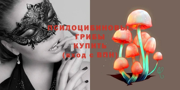 стафф Щигры