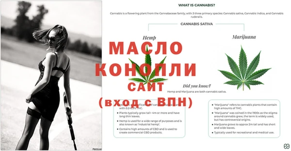 прущая мука Корсаков