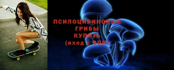 прущая мука Корсаков