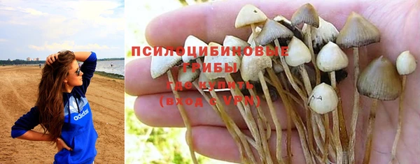 прущая мука Коряжма
