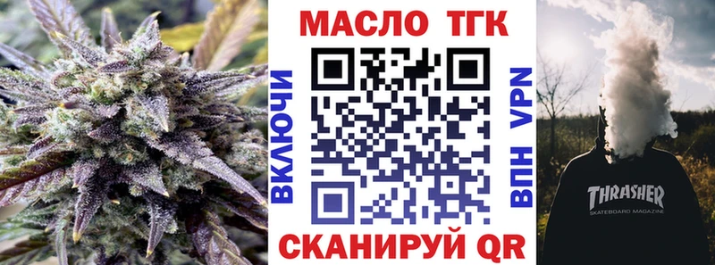 MEGA вход  Шенкурск  ТГК концентрат 