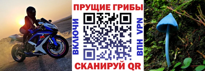 где продают наркотики  Шенкурск  Галлюциногенные грибы мицелий 
